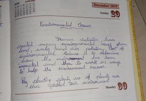 Environmental issues.jpg