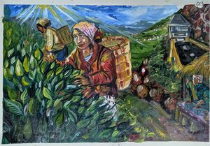 SSK2025-26 903 HSS General A 13 35029.jpg