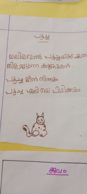 പൂച്ച .jpg