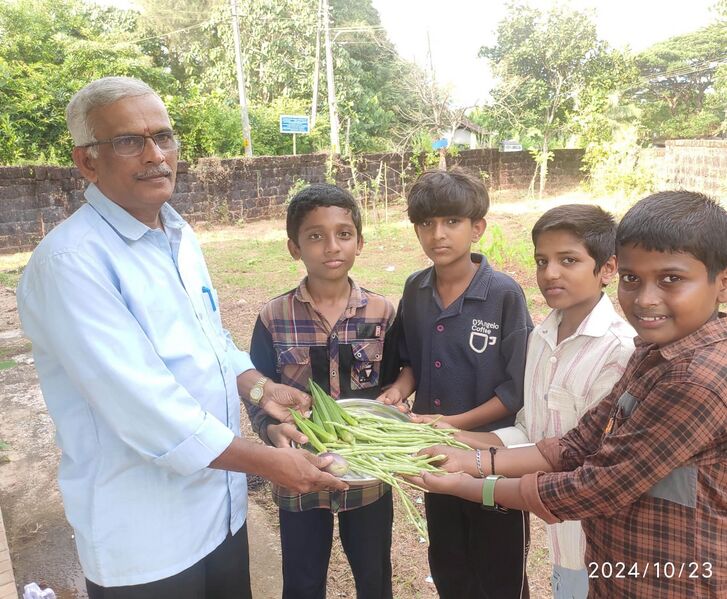 പ്രമാണം:സ്‌കൂൾ പച്ചക്കറി തോട്ടം .jpg