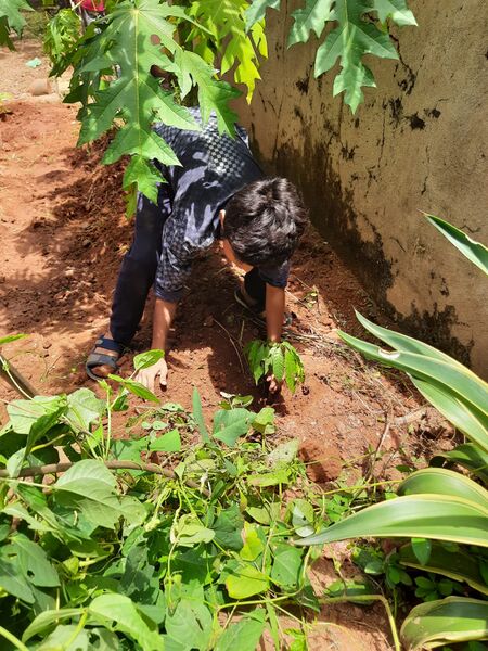 പ്രമാണം:11453 env05.jpeg