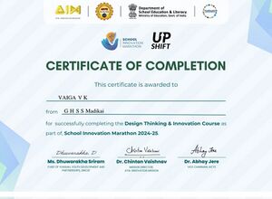 12017 Vaiga certificate.jpg