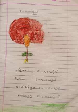 12545-KGD-KUNJ-HASHMI K K.jpg