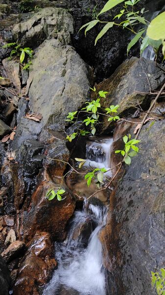 പ്രമാണം:15458 senery 2.jpeg