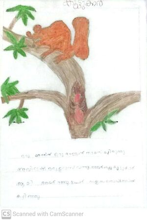 17225 KKD KUNJ MOHAMMED ZAIN.jpg