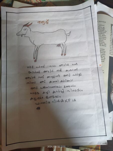 പ്രമാണം:18748-MLP-KUNJ-FATHIMATH RINSHA.K.P.jpg