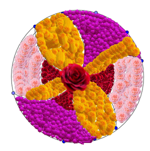 19359 mlp dp 2019 3.png