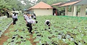 26047 school Agriculture.jpeg