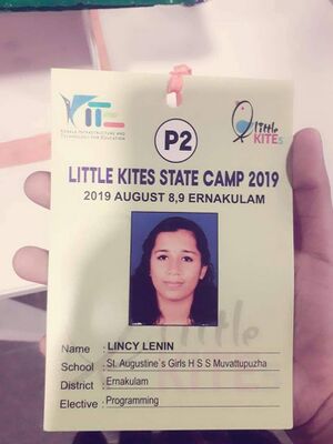 28002-state camp1.jpg