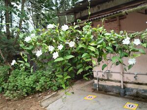 29312 environmentclub2.jpeg