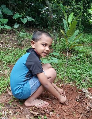 29411 EnvironmentDay15.jpeg