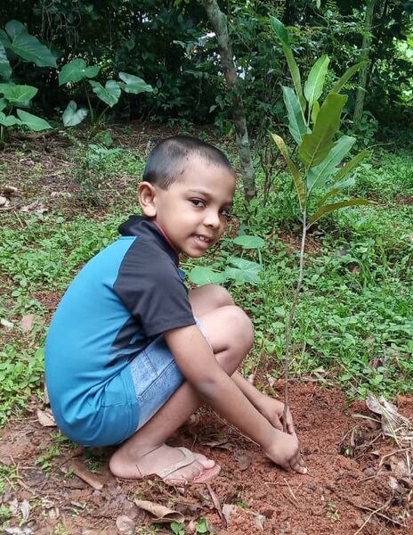 പ്രമാണം:29411 EnvironmentDay15.jpeg