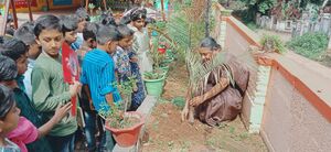 33347-ktm-science 2 (2).jpg