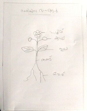 33424-KTM-KUNJ-SEONA ANNA CHICKU.jpg