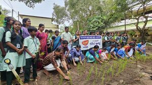 34013seed njarunadal 1.jpg