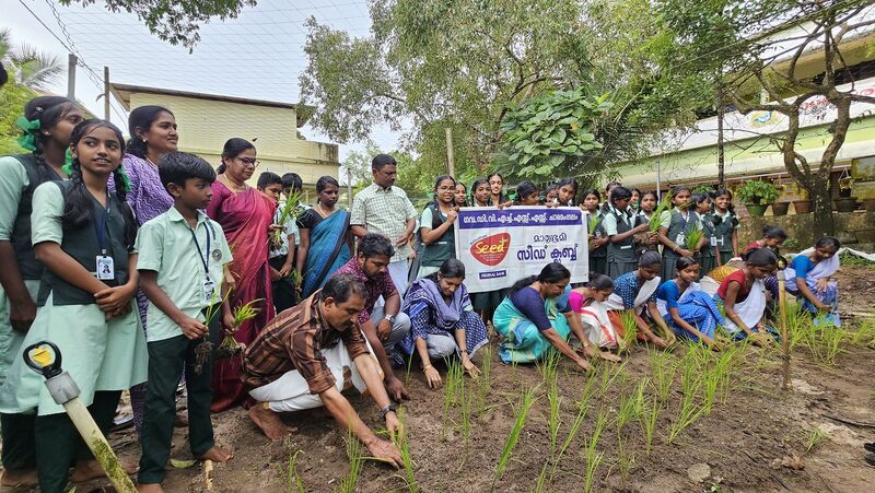 പ്രമാണം:34013seed njarunadal 1.jpg