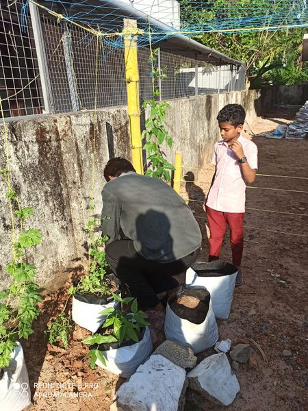 പ്രമാണം:35231 ECO2.jpg