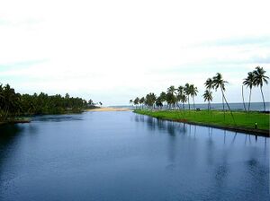 42248-Edava Nadayara Lake.JPG