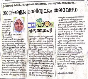 44223 nafseena malinyam.jpg