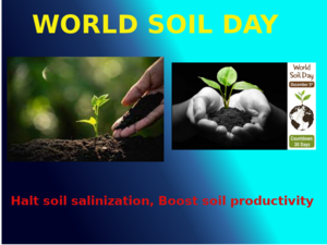 P2307902 SOIL.png