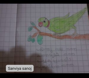 14721-KNR-KUNJ-SANVIYA SANTHOSH.jpg