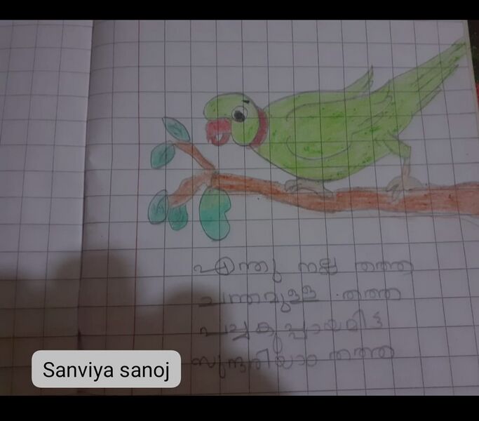 പ്രമാണം:14721-KNR-KUNJ-SANVIYA SANTHOSH.jpg