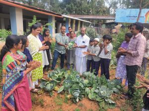 15088 veg vilavedupp 2 24.jpg