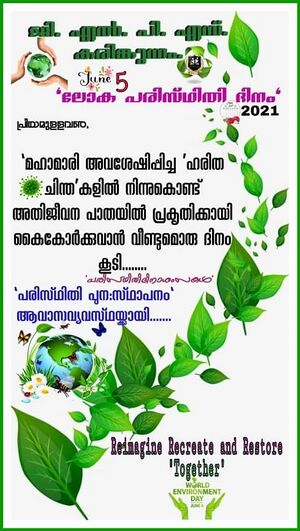 29312 duringcovid58.jpg