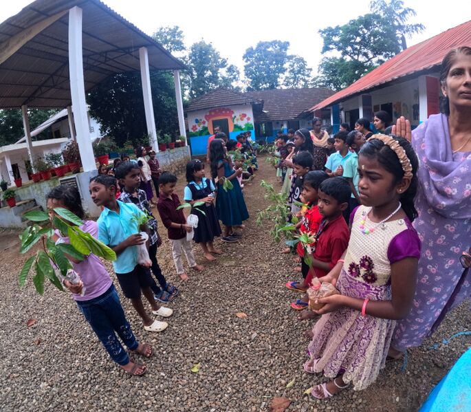 പ്രമാണം:31262-valavoor -tree 4.jpg