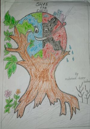 34319-ALP-KUNJ-MUHAMMED AMEER BADHUSHA.jpg