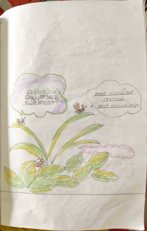 35214-ALP-KUNJ-HAMDHA FATHIMA.jpg