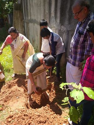 42029 ENVIRONMENTAL DAY.jpg