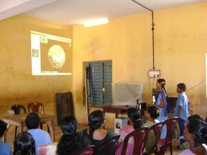 42040 freesoft 1.jpg