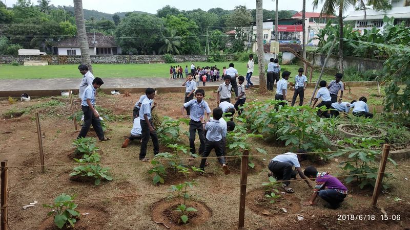 പ്രമാണം:45051 Vege1.jpeg