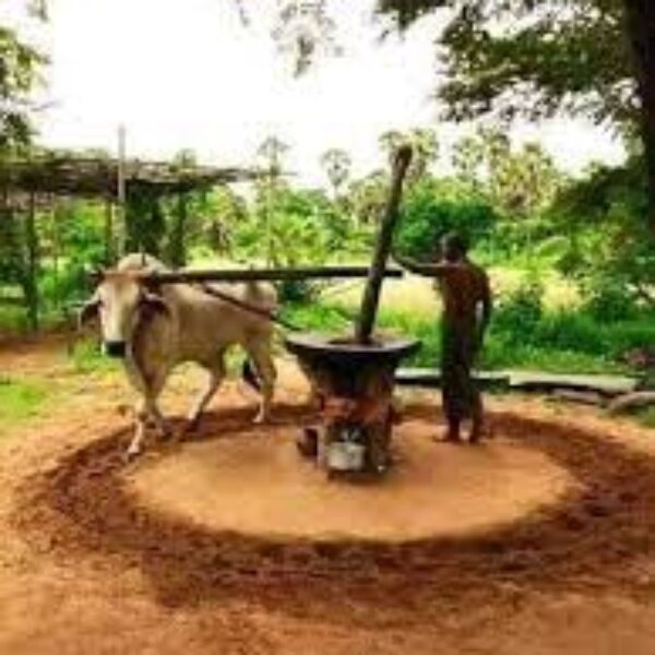 പ്രമാണം:47110 52.jpg