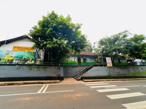 47238 ente gramam3.jpg