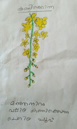 IMG 20240319 115825.jpg