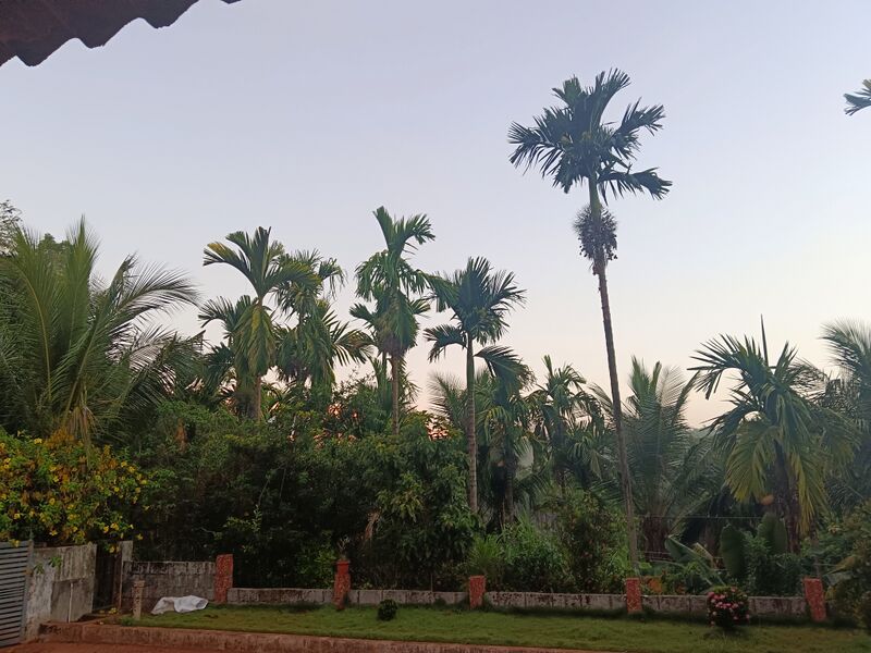 പ്രമാണം:PRESENCE OF BEAUTY.jpg