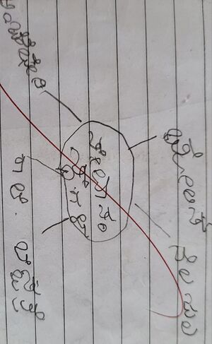 11360-KGD-KUNJ-MOHAMMED RAIHAN.jpg