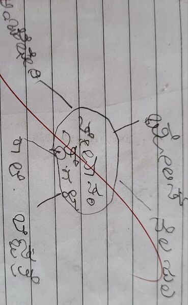 പ്രമാണം:11360-KGD-KUNJ-MOHAMMED RAIHAN.jpg