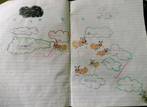 19555-MLP-KUNJ-JPEG (12).jpg