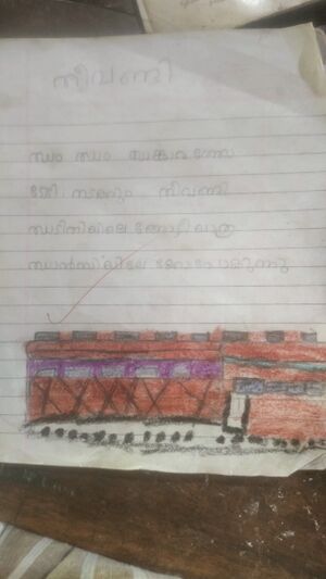 19833-MLP-KUNJ-Muhammmed Nabhan.jpg