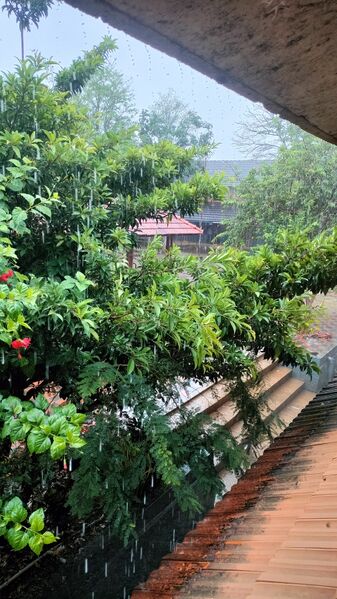 പ്രമാണം:20039 skphss .jpg