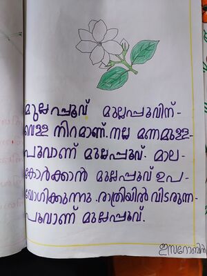 25230-EKM-KUNJ-ESA ROBIN 08.jpg