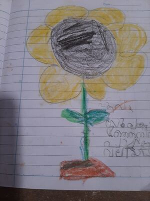 29409-IDK-KUNJ-NOYAL K FROLIC.jpg