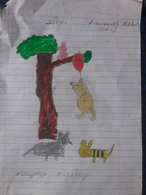 32364-KTM-KUNJ-ANUNANDH AKHIL.jpg