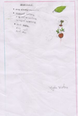 32423-KTM-KUNJ-VAIGA VISHNU.jpg