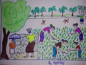 34240-ANJALI SHAJI STD 2 -B.jpg