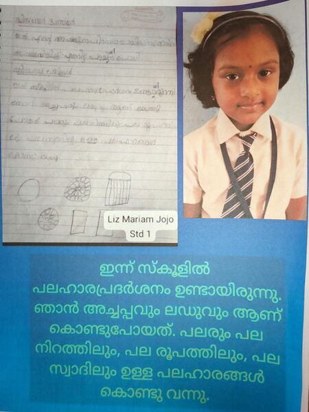 പ്രമാണം:40436KOLLAKUNJ LIZ MARIYAM JOJO.jpg