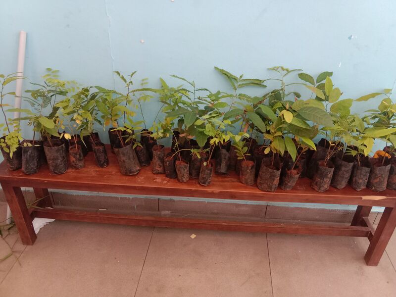 പ്രമാണം:43351 2026-27(12).jpg